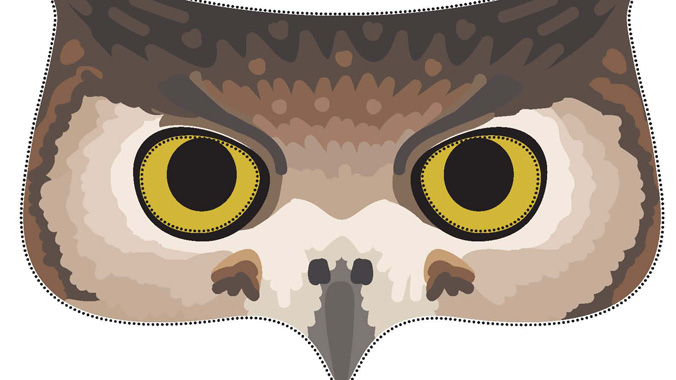 owl-web